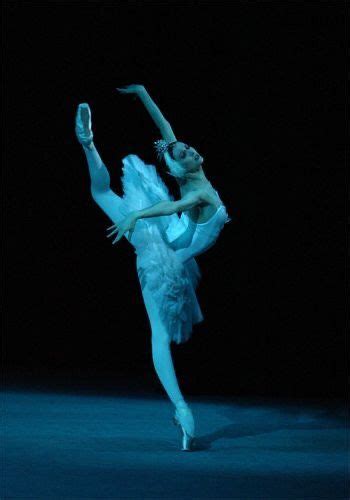 Pin by sophia🦋 on fouetté turns & french twists in 2020 | Ballet photos, Dance life, Ballet dancers