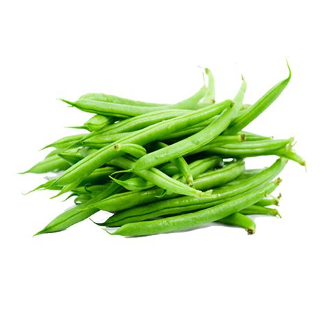 Green bean PNG