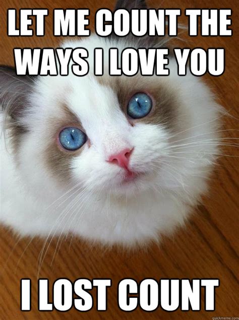 Let me count the ways I love you I lost count - anti grumpy cat - quickmeme