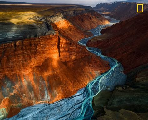 The Winning Photos of Nat Geo Nature Photographer of the Year 2017 | PetaPixel