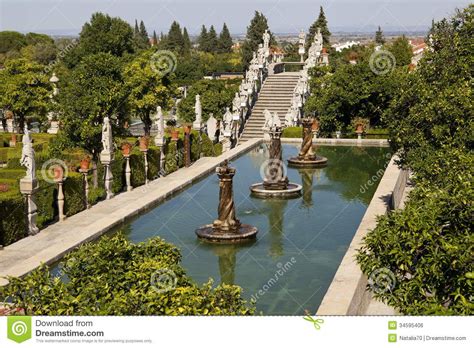 Garden in Castelo Branco | Famous gardens, Photo, Stock photos