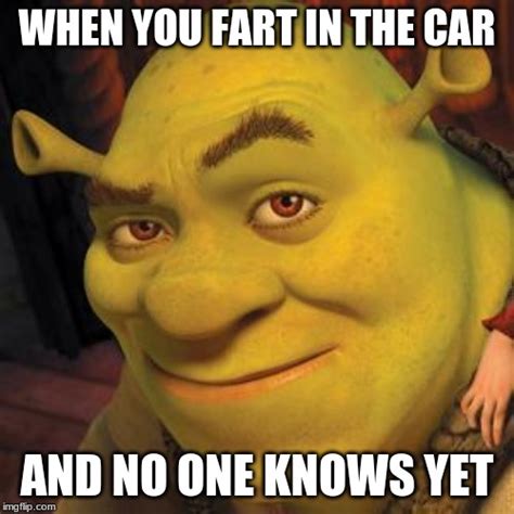 Shrek Sexy Face - Imgflip