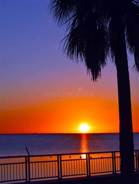 Beach sunset sunrise stock photo. Image of relax, pink - 240293774