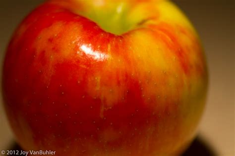 290/365 - Honeycrisp Apple | 10/16/12 - I've been lacking id… | Flickr