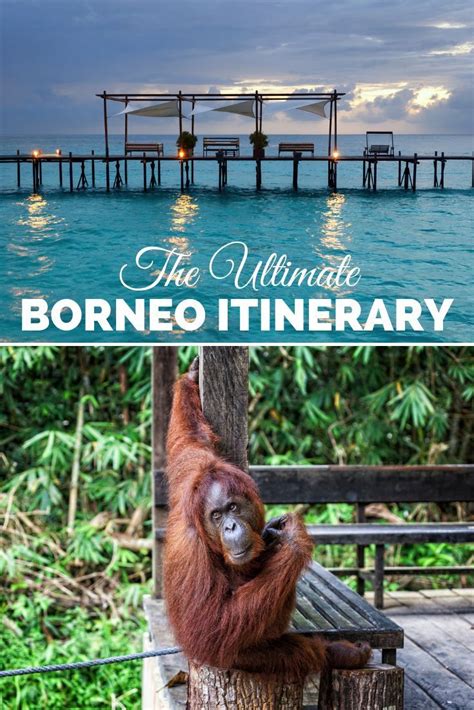 2-Week Borneo Itinerary: Best Route for Orangutans, Beaches, Jungles, and Colonial Cities In 2 ...