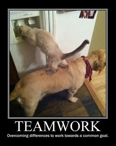 Teamwork Quotes For The Office. QuotesGram