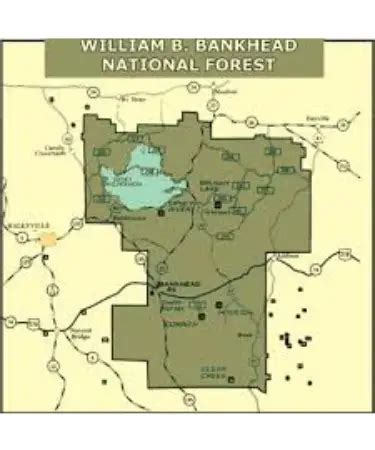 🏞 Bankhead National Forest Map PDF - Free Download (PRINTABLE)