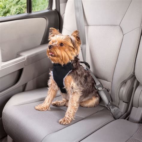 Premier Pet Car Safety Harness for Small Dogs - Keeps Your Dog Secure ...