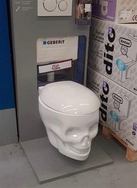 Didn't know I wanted a skull-shaped toilet! : r/DidntKnowIWantedThat