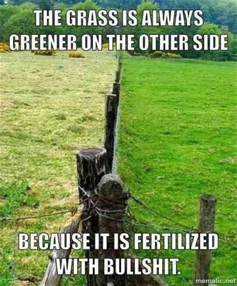 grass is always greener on the other side Top Quotes, Funny Quotes, Upset Quotes, Farm Quotes ...