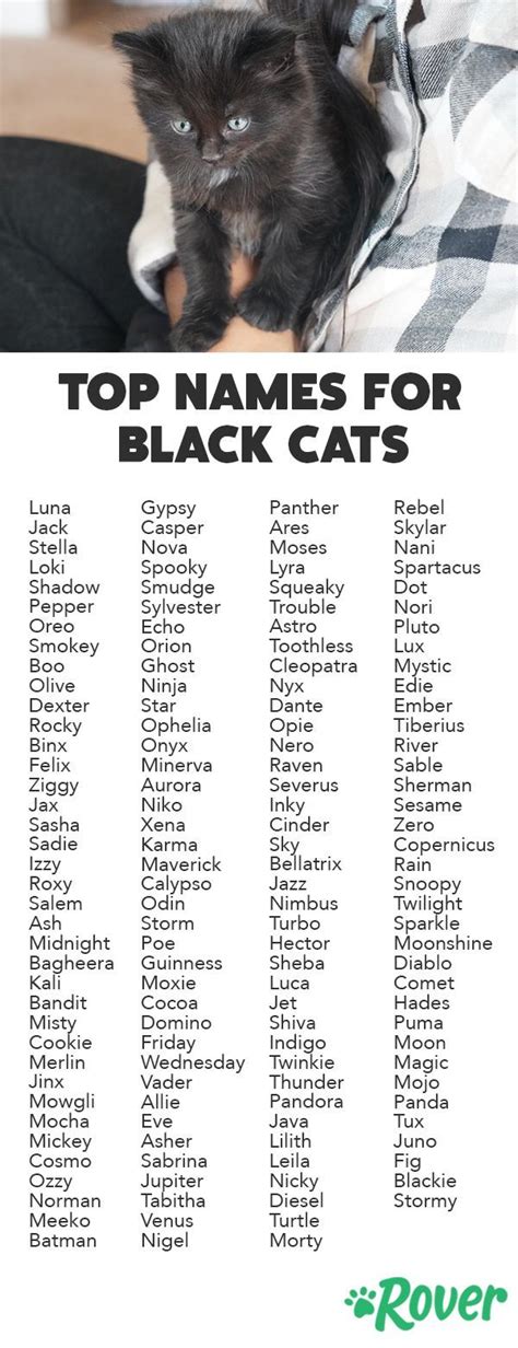 We've rounded up the top names for black cats and kittens. #prettycats ...