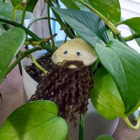 Brunette Bearded Clam Funny Desk Accessory Office Buddy | Etsy