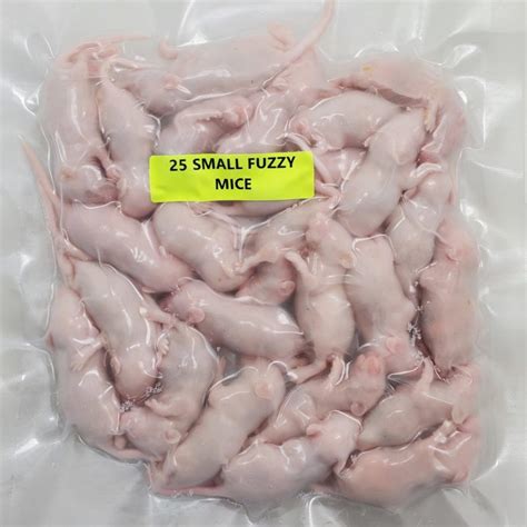 Frozen Mice - Perfect For Feeding Snakes & Carnivorous Pets.