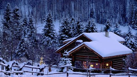 Christmas, Snow, Pine trees, Cabin HD Wallpapers / Desktop and Mobile Images & Photos