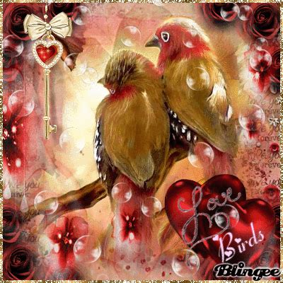 Animated Love Birds Gif