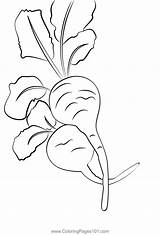 Beets 2 Coloring Page For Kids  Free Beetroot Printable Pages sketch template