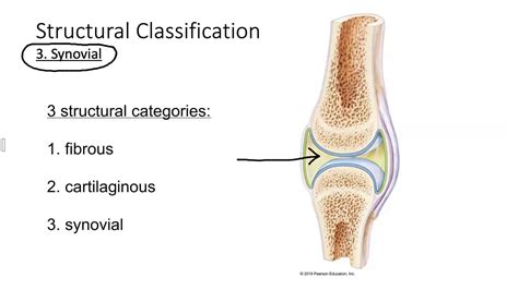 Classification of joints - YouTube