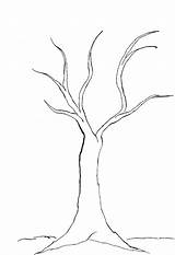 Tree Coloring Page Pages To Print Free  Vrogueco sketch template