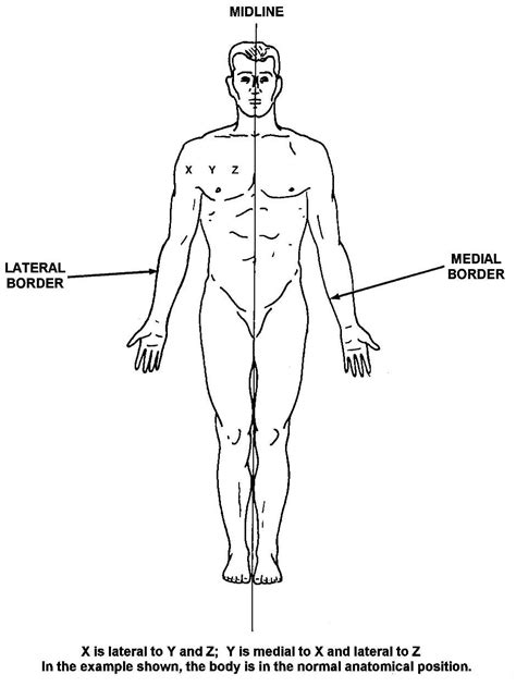 01. Introduction and Terminology | Basic Human Anatomy