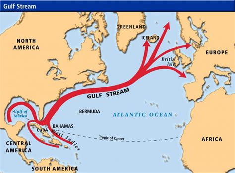 La corrente del Golfo e l’Atlantic overturning si sono indeboliti (VIDEO) - blueplanetheart.it