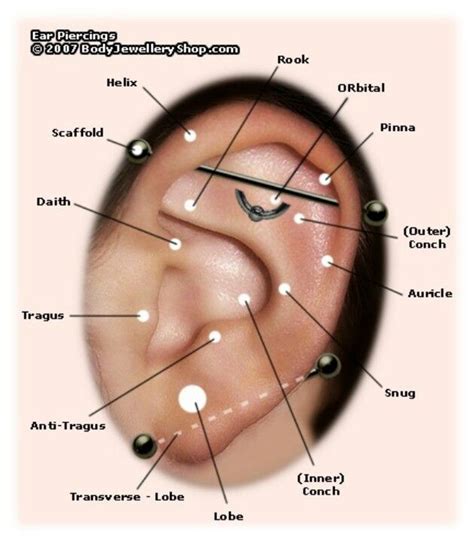 Ear Piercing Chart Names