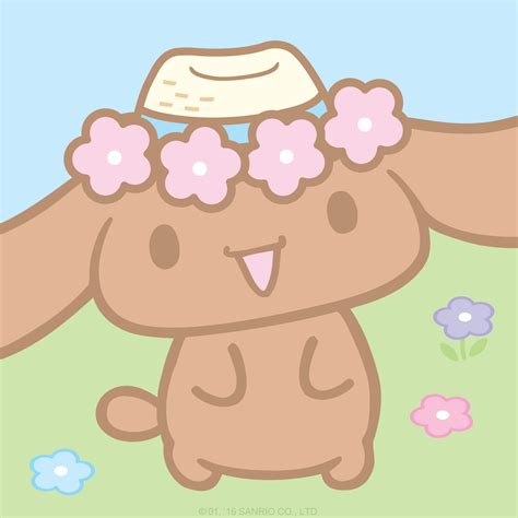 Cinnamoroll's Friend Mocha in a Straw Hat | Hello kitty drawing, Sanrio hello kitty, Pink ...