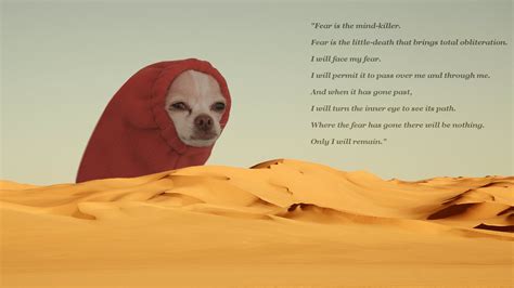 The great Shai-Hulud : r/dune