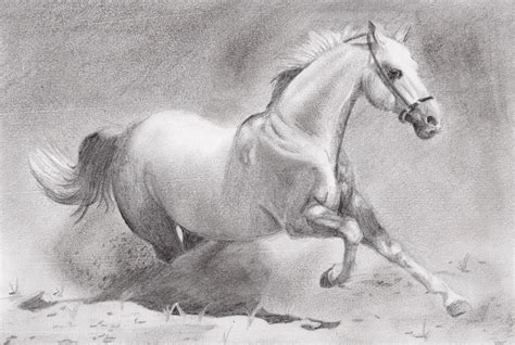 running horse sketch by russiawantsvodka on DeviantArt