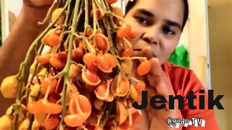 Buah Jentik // Jentik Fruit // Baccaurea Polyneura // - YouTube