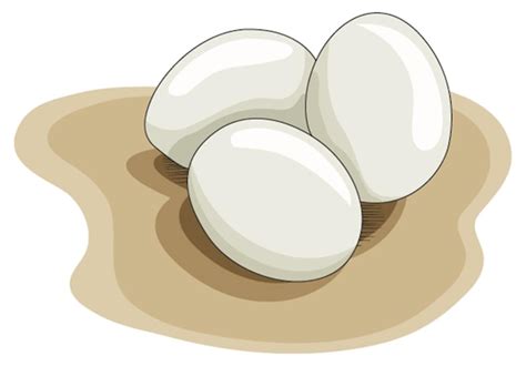 Clipart Eggs