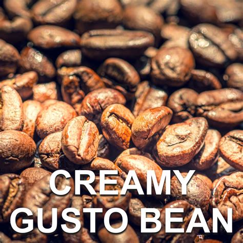 Royaza Creamy Gusto Coffee Bean, Packaging Type: Packet, Rs 270 /packet | ID: 22895029897