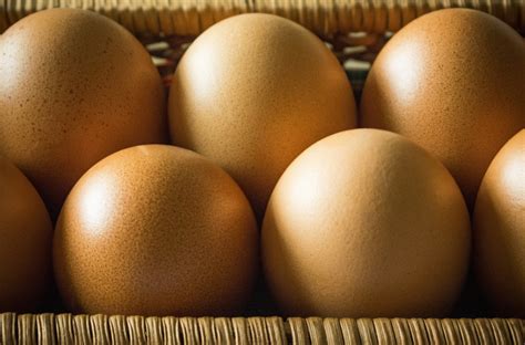 Free Images : field, clear, food, natural, hen, close up, background, nutrition, eggs, pact, egg ...