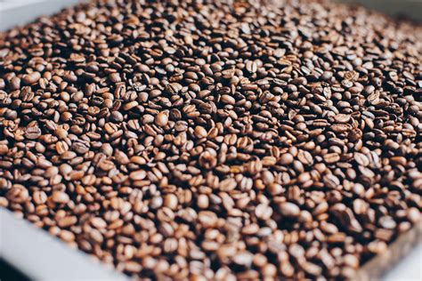 Bowl of Coffee Beans · Free Stock Photo