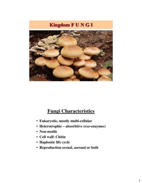 Kingdom F U N G I Fungi Characteristics