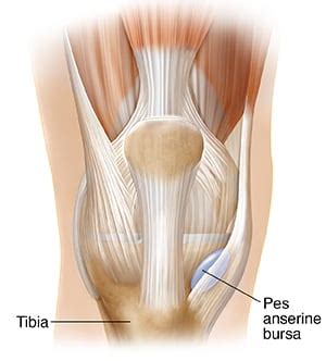Anterior Knee Pain: Symptoms, Causes & Treatment