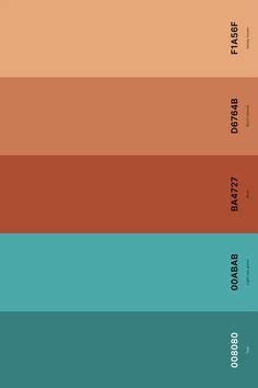 25+ Best Terracotta Color Palettes with Names and Hex Codes in 2024 | Terracotta color palette ...