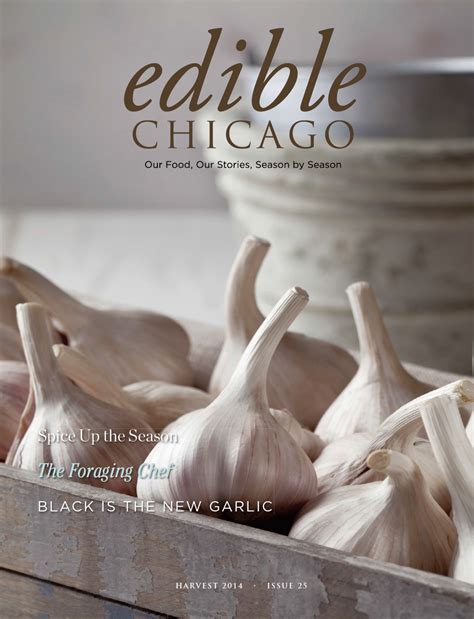 Black Garlic North America™ - Black is the New Garlic