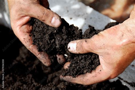 Black soil Stock Photo | Adobe Stock