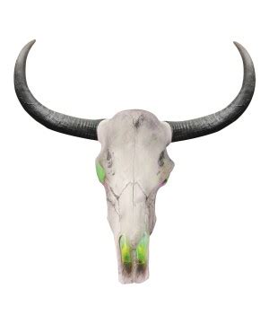 Longhorn Skull - Accessories