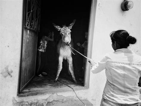 The Powerful Photos That Rocked Getty Images' First Instagram Grant ...