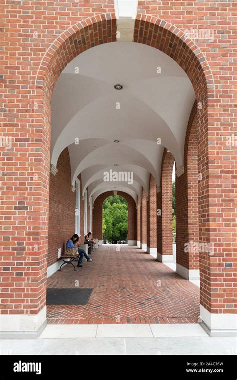 The Milton S. Eisenhower Library, part of the Johns Hopkins Sheridan Libraries, is the principal ...