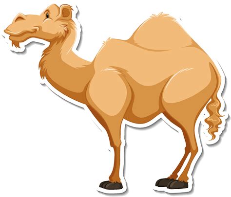 A sticker template of camel cartoon character 3304011 Vector Art at ...