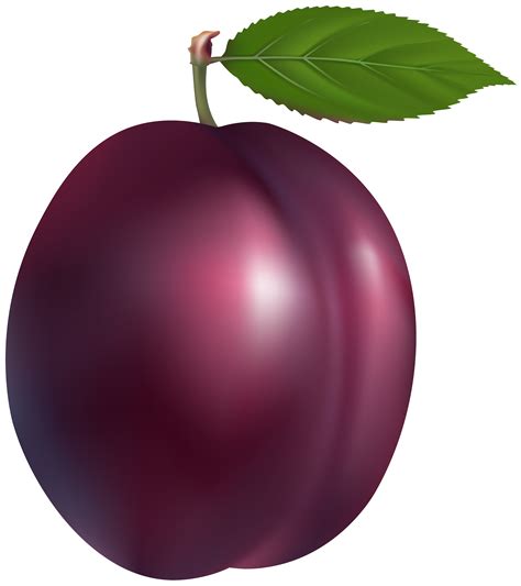 Collection of Plum clipart | Free download best Plum clipart on ClipArtMag.com