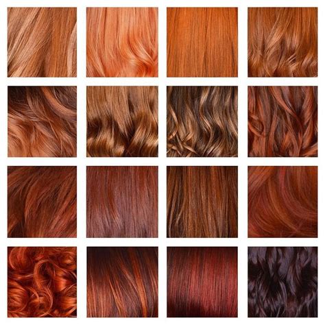 Wella Education on Instagram: “Client: I want to be a #redhead. Us: Define "red." #Hairdressers ...