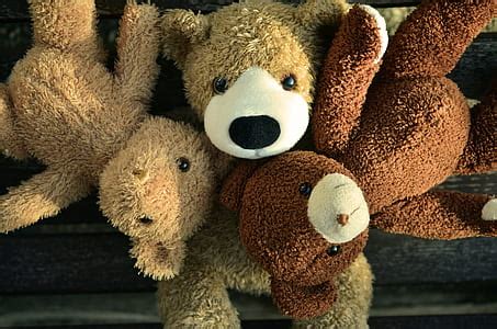 Royalty-Free photo: Brown bear plush toy | PickPik