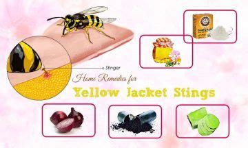 13 Best Home Remedies For Yellow Jacket Stings And Swelling