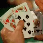 Bluff Playing Cards GIF - Bluff Playing Cards - Discover & Share GIFs