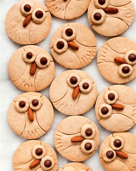 Cinnamon Shortbread Owl Cookies | Last Ingredient