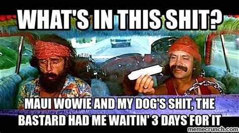 Pin by Ken Drake on Comedy | Cheech and chong, Funny cartoon quotes ...