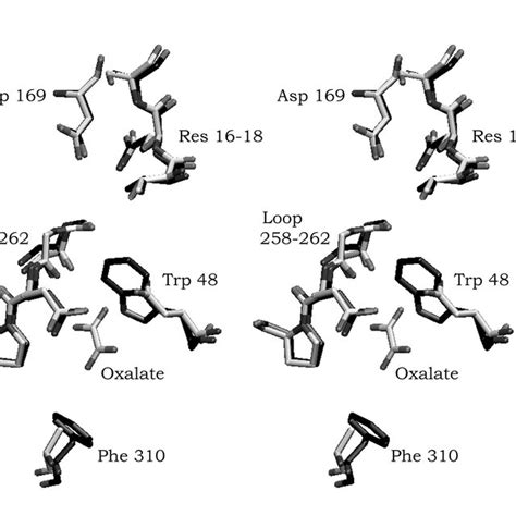 (PDF) FORMYL-COENZYME A TRANSFERASE, STRUCTURE AND ENZYMATIC MECHANISM